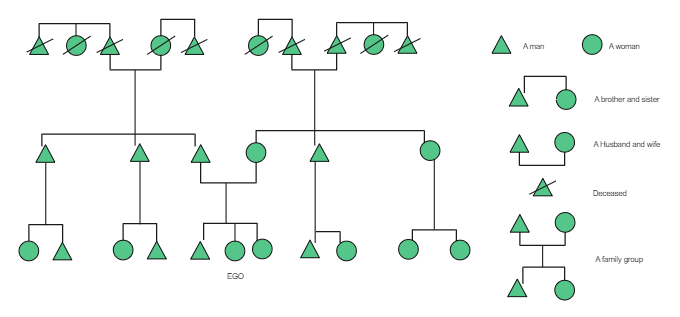 Kinship Chart Template Online EdrawMax Templates