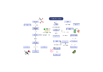 Concept Map About Cellular Respiration EdrawMax Templates