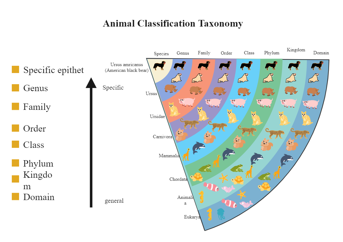 Biology Poster Hierarchy Of Biological Classification Taxonomy Science Poster Science Teacher 