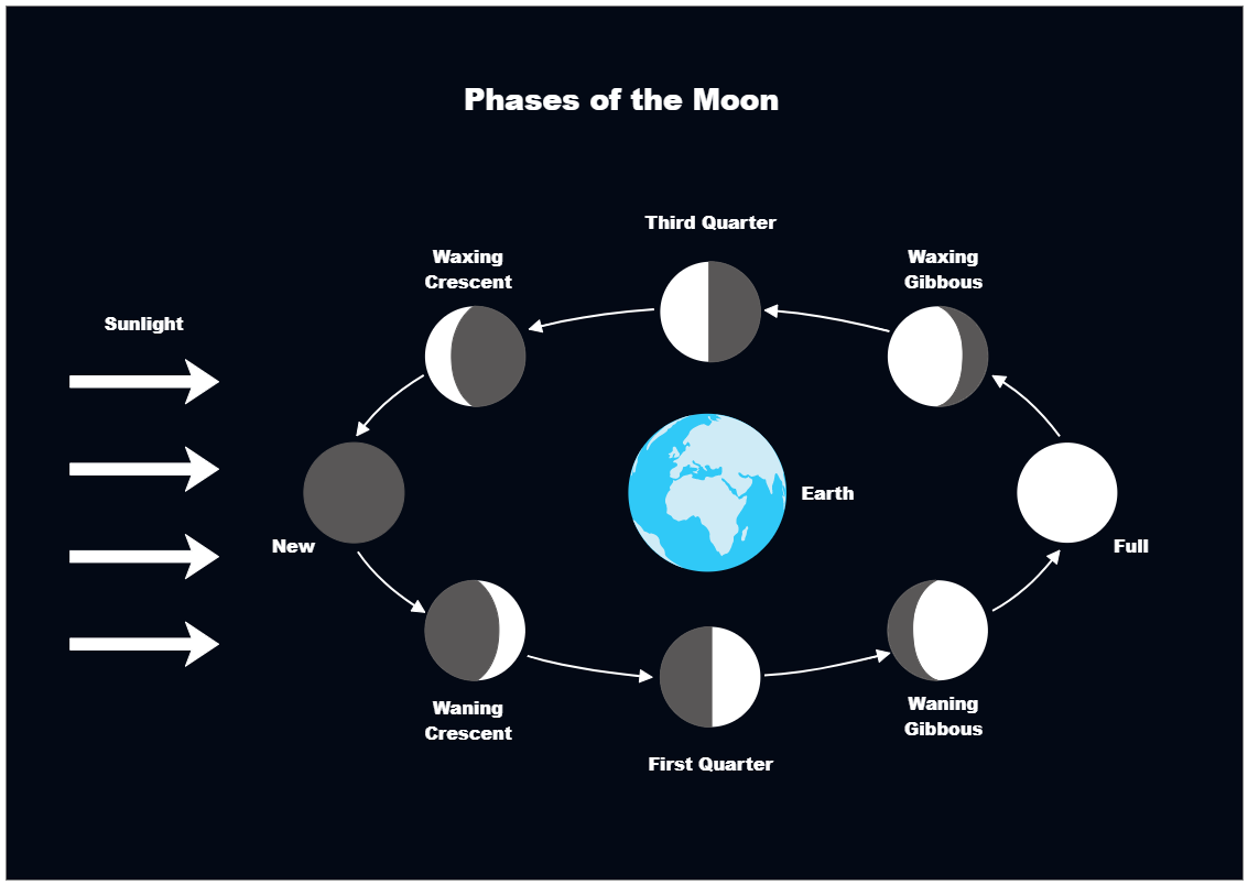 Moon Phases Diagram | EdrawMax Templates