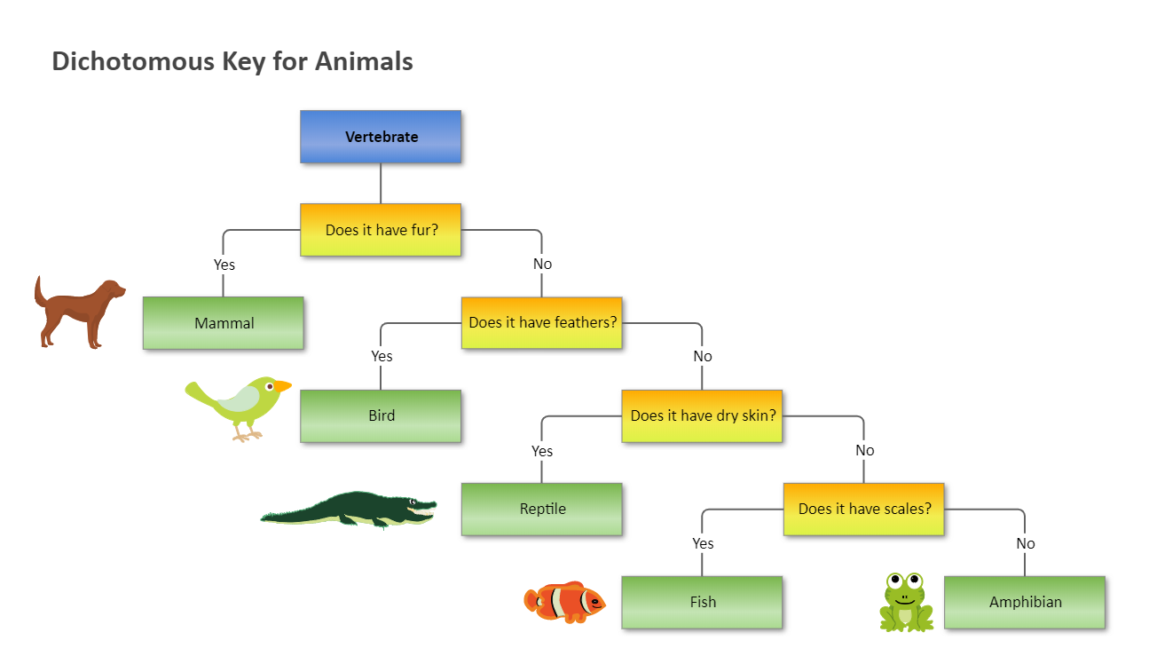 Vertebrate Dichotomous Key EdrawMax Templates