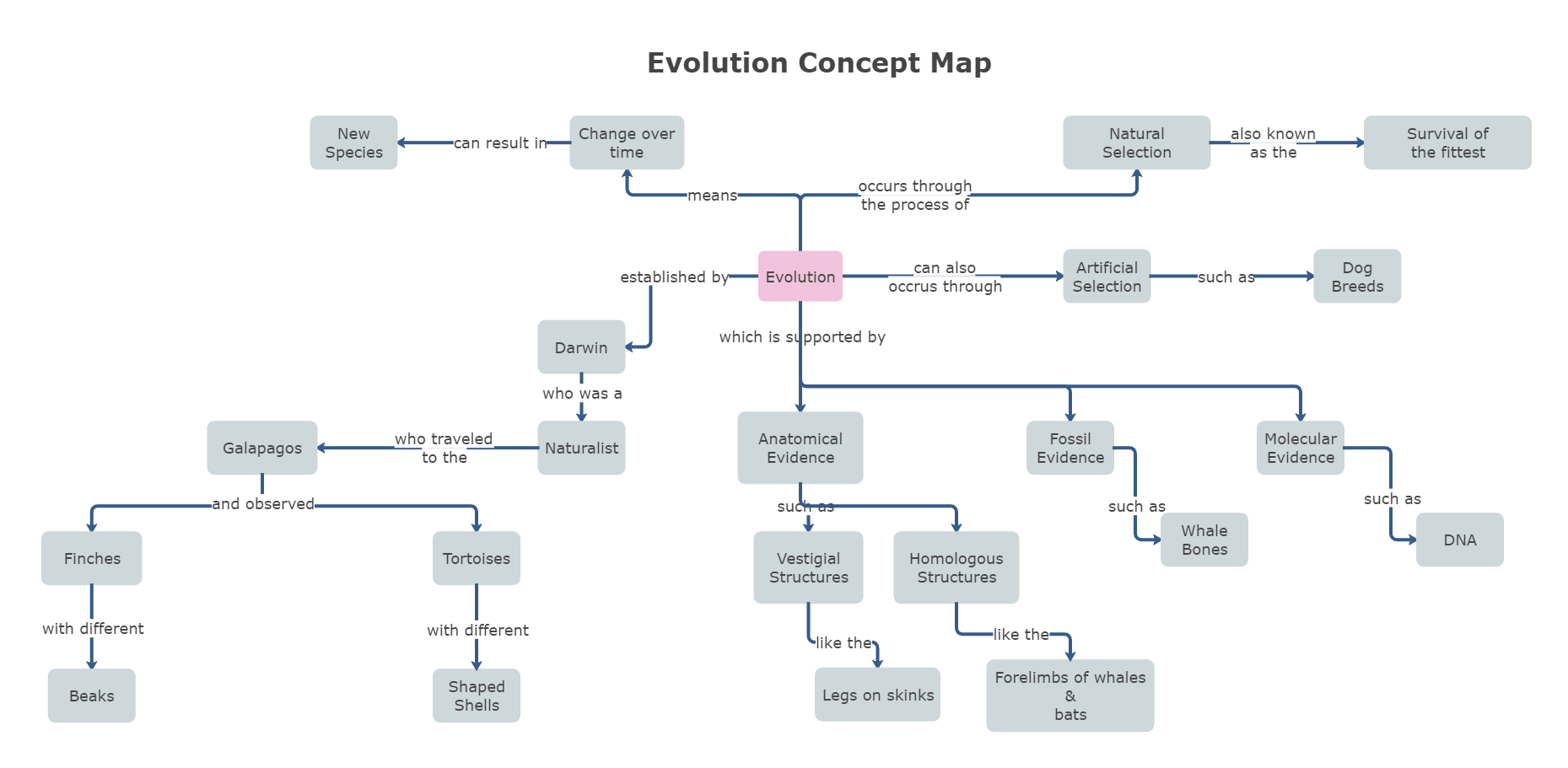 Evolution Concept Map | Edraw Max Templates