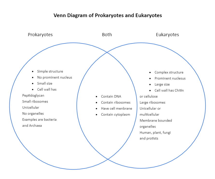 Prokaryotic VS Eukaryotic Venn Diagram