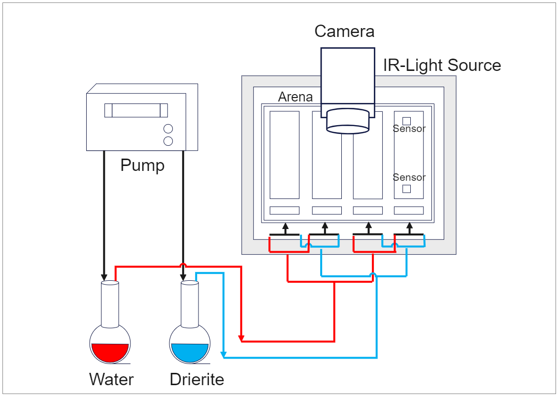 Camera Light Diagram