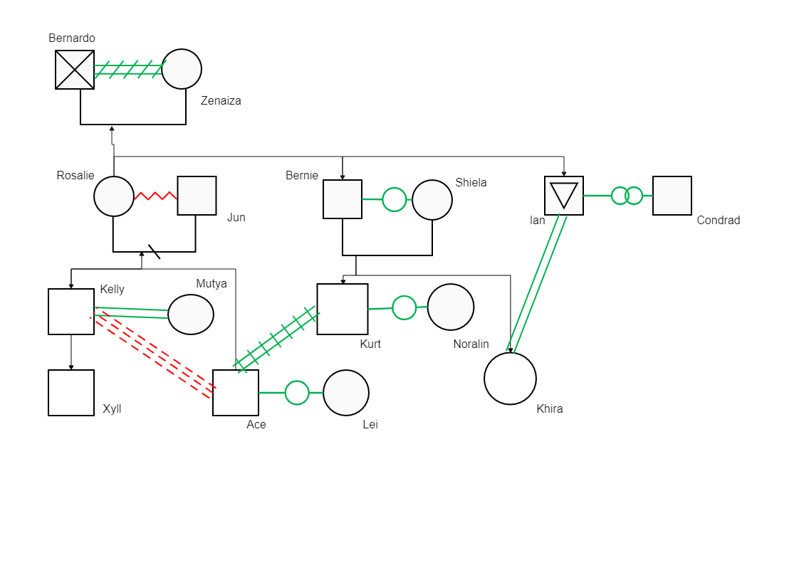 Ace's Genogram is very important as it illustrates the violent nature of her family. As depicted in the Genogram below, Ace and Kelly are the children of Rosalie and Jun. At the same time, Kurt is the son of Bernie and Sheila. As the genogram diagram belo