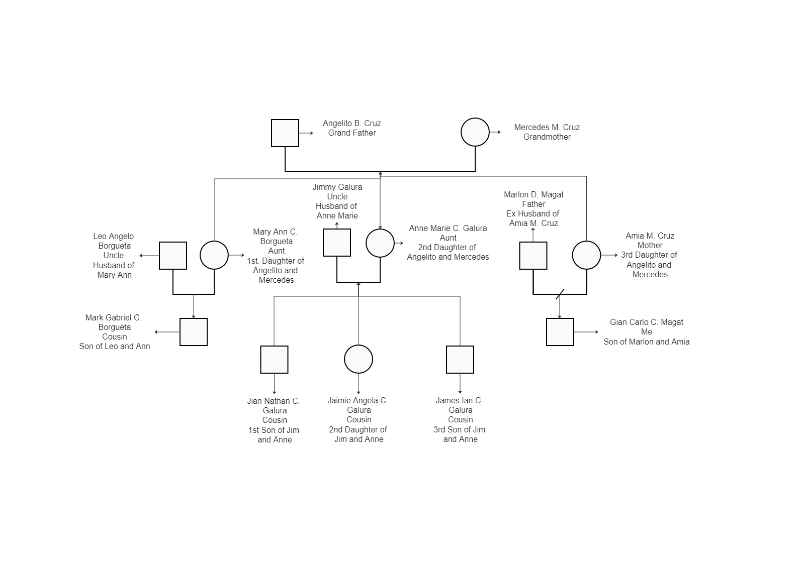 James Genogram below is a very detailed diagram featuring multiple generations. In the beginning, we see how Angelito Cruz married Mercedes Cruz and gave birth to Mary Ann, Anne Marie, and Amia Cruz. Anne Marrie married Jimmy Galura, and the couple gave b