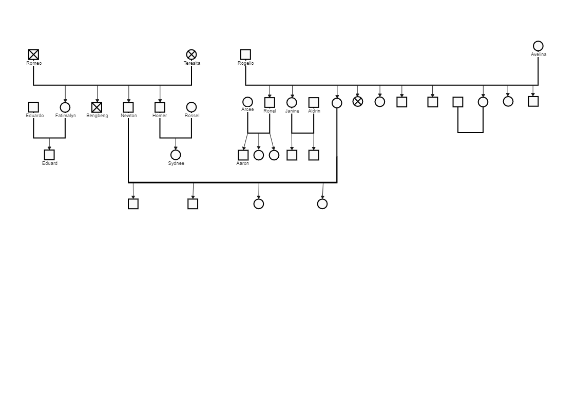 A genogram is a graphical representation of family relationships showing the quality and proximity of relationships and patterns across generations.  Romeo's Genogram shows the elaborate family of Romeo, who married Teresita and gave birth to Fatimalyn, B