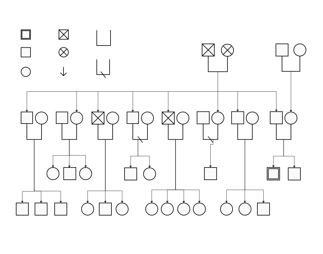 In a simple genogram example, males are represented by a square and females by a circle. EdrawMax Online is a free genogram tool that allows you to easily create genograms for your project. With EdrawMax Online, you can add additional information as requi