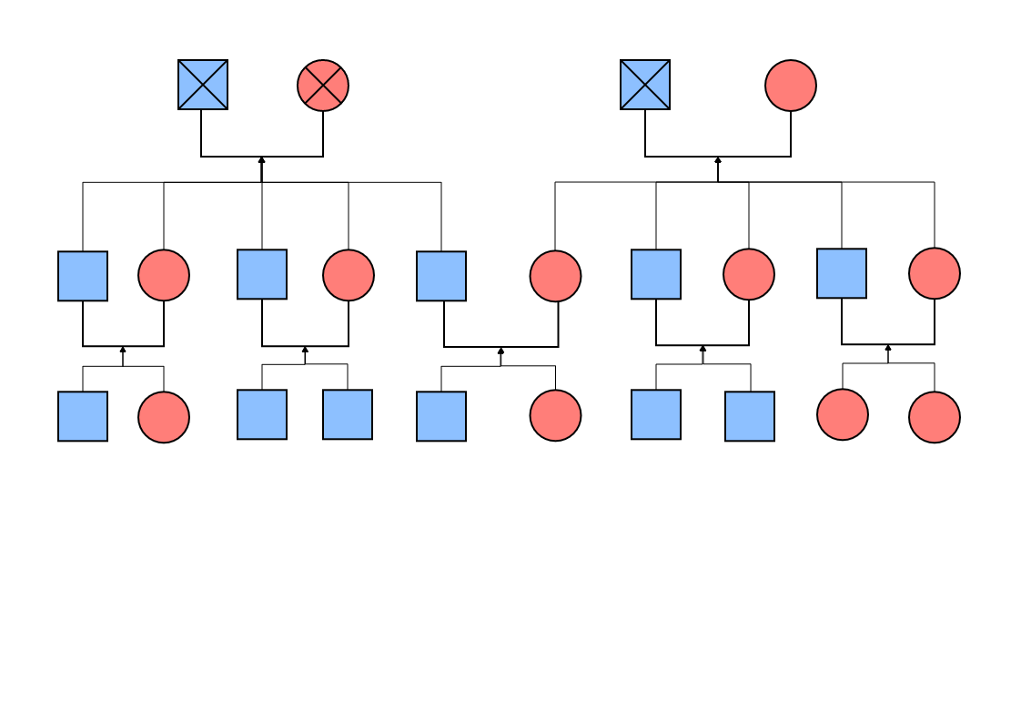 Gender Genograms are now used by various groups of people in various fields such as medicine, psychiatry, psychology, social work, genetic research, education, and many more. A Gender Generations' Genogram goes far beyond the listing out of individuals an