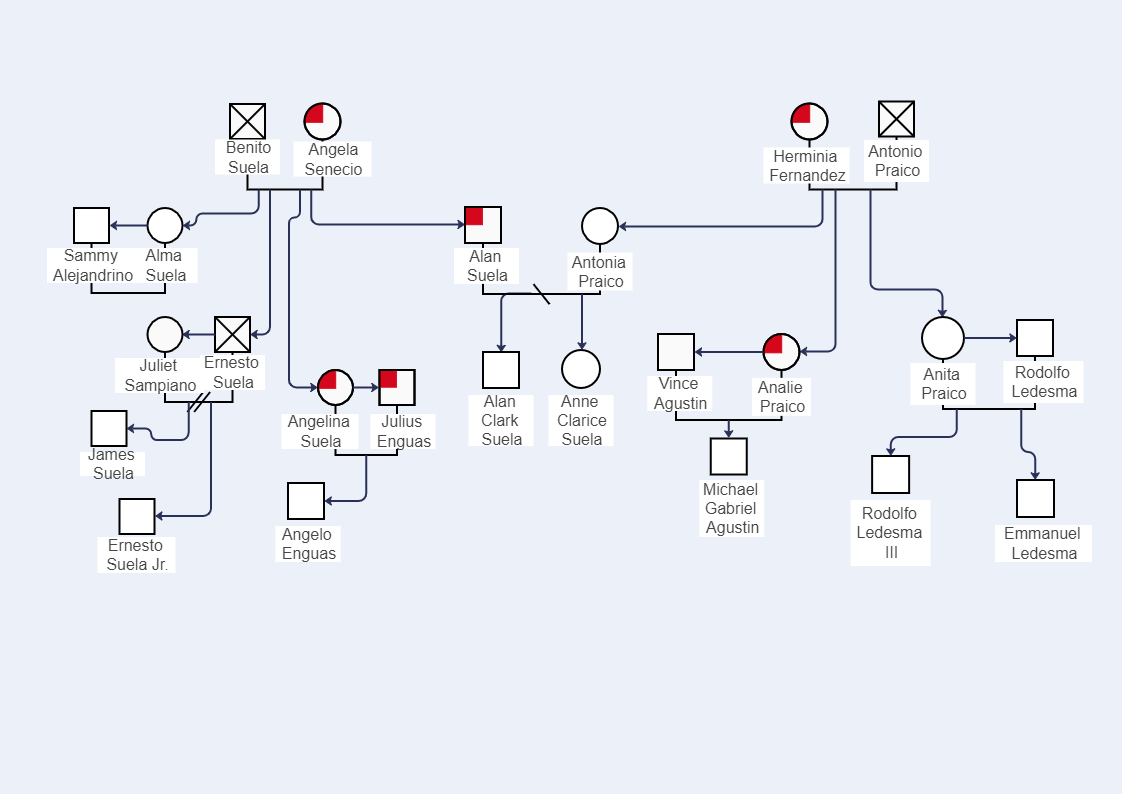 Suela Genogram shows the family history of the entire Suela family, including the family members from mother and parent sides. The Suelo Genogram below shows how Herminia Fernandez's family is related to Angela Senecio's family. Before you sit down to cre