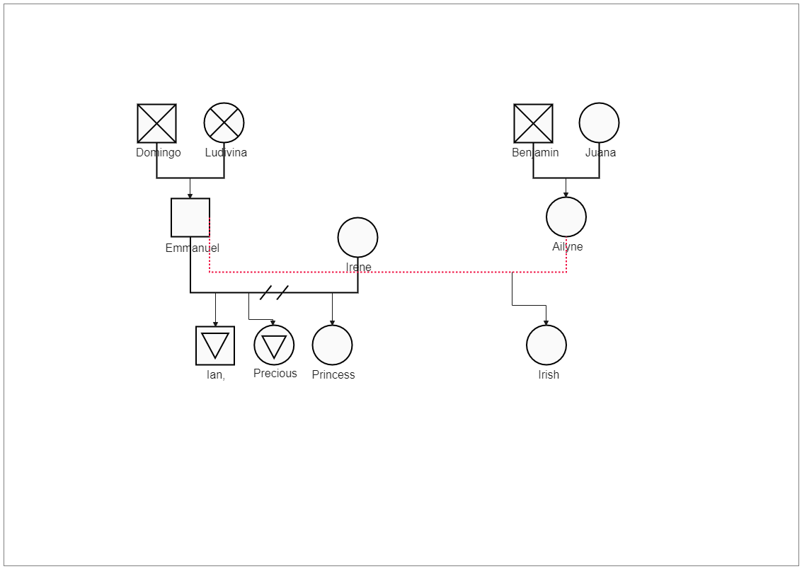 Although there is general agreement on the basic genogram structure and symbols, there are some variations between designers. In the Irish Genogram, the male is noted by a square and the female by a circle. A family between these two is shown by a horizon