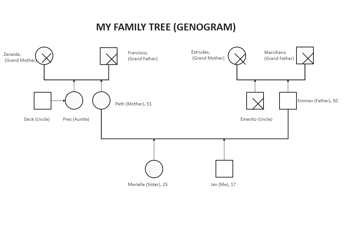 Manuel Gonzales'S Family Tree Structure