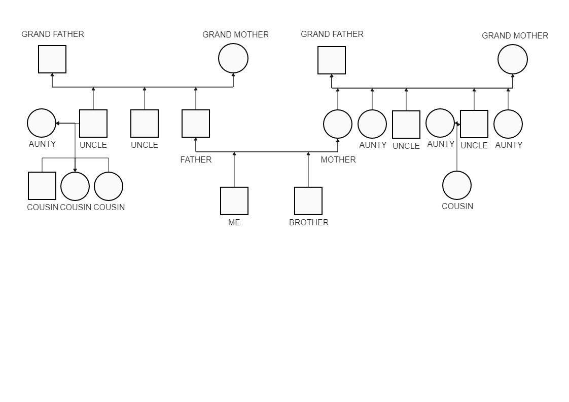 The whole family genogram structure of Ryan Alas is displayed here. A genogram is made up of simple symbols that signify gender and different lines that depict familial links. Some genogram users also draw circles around family members who share living qu