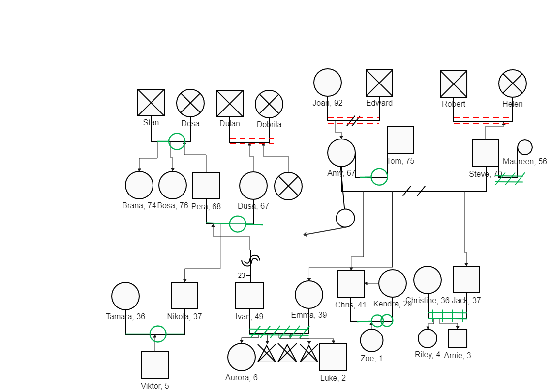 The Entire Family genogram Structure of  Emma Worth has shown here. Genealogists can use genograms to discover and analyze interesting facts about their family history, such as a naming pattern, sibling rivalry, or significant events like immigration. Gen