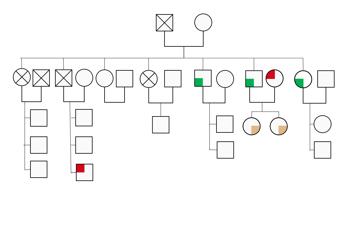 Family Relationship Blank Tree Structure can be seen here. A genogram, often known as a family tree, is a valuable tool for gathering information about a person's ancestors. Many people love talking about their family history, and it may be a useful techn