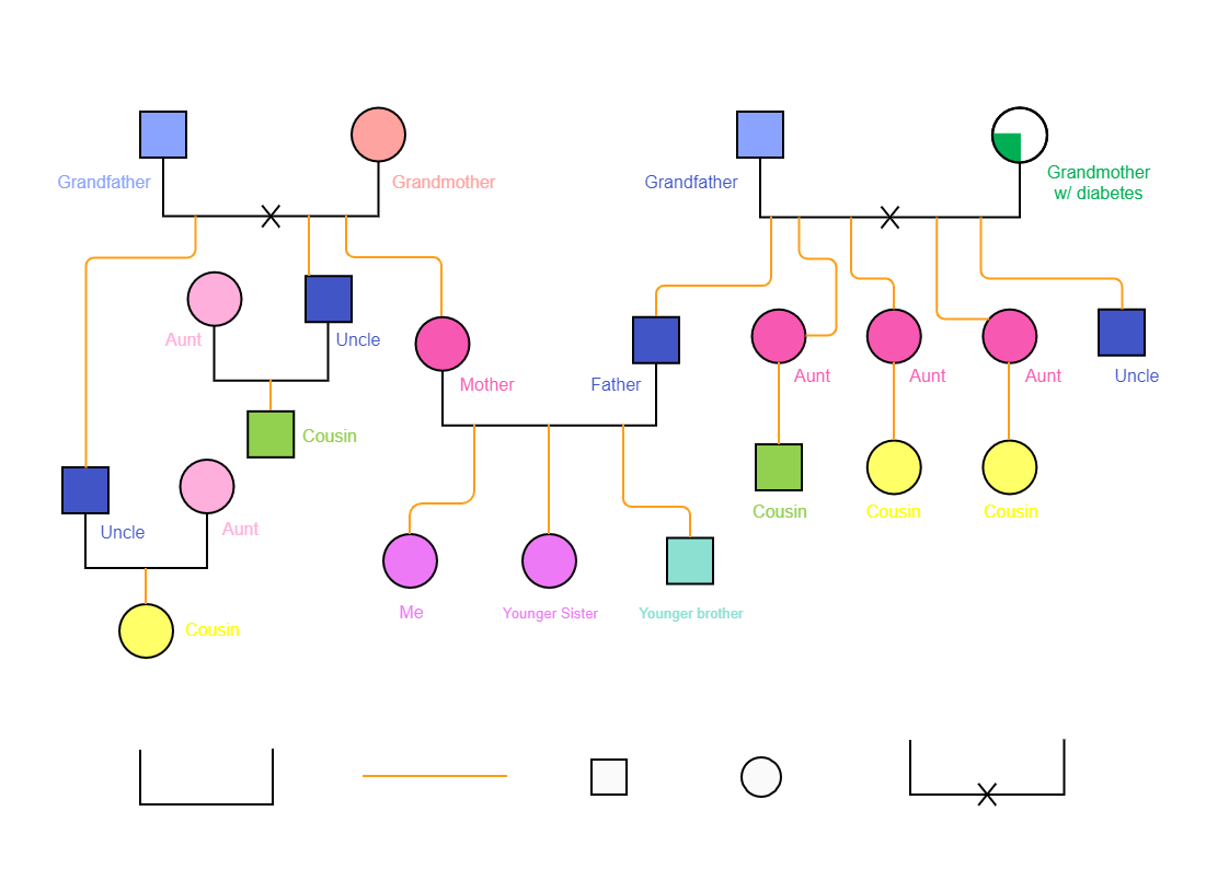 The Family Relationship Tree Structure of Alkizzn Rain is shown below. A genogram is a useful tool for understanding the important individuals and relationships in a client's life. It can also assist us in identifying trends within those relationships as 