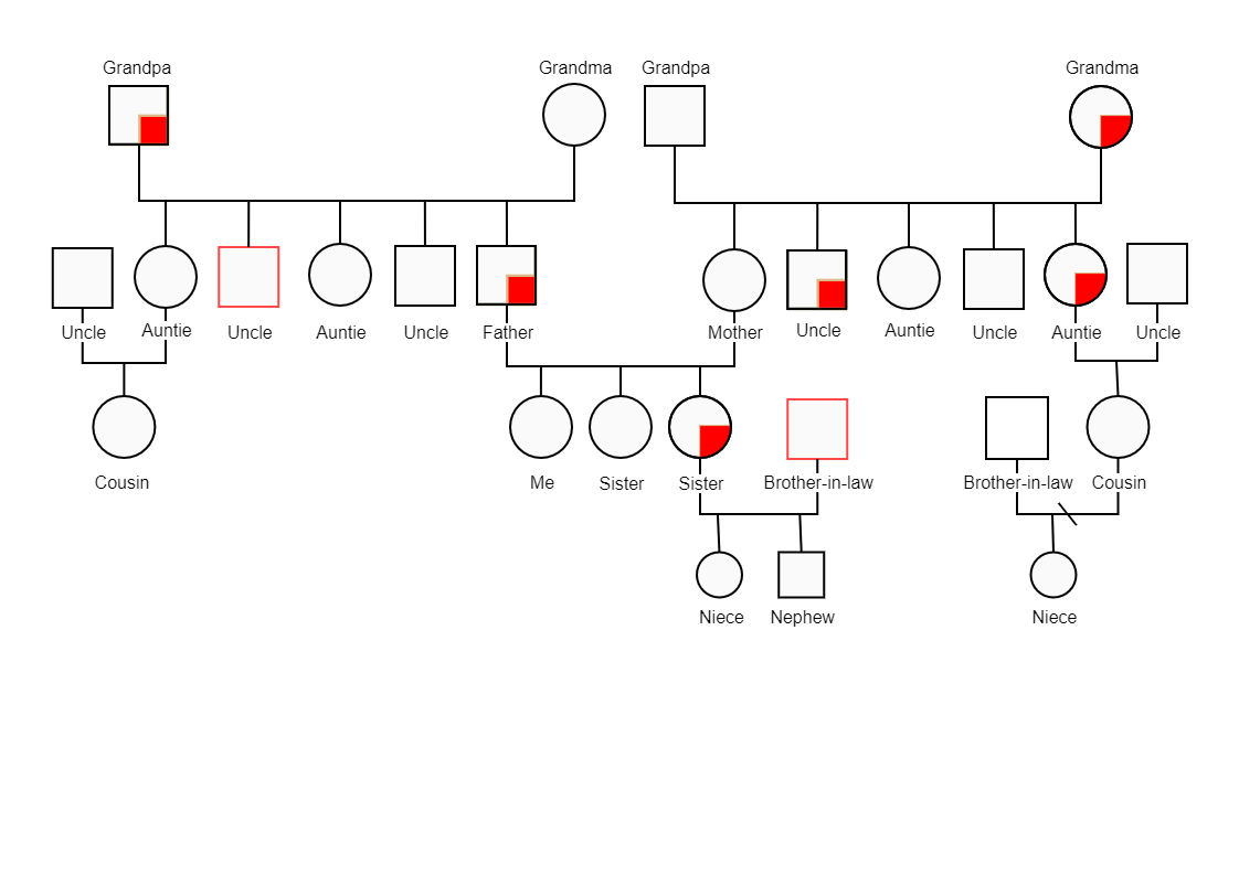 Above is Jasmine's Family Tree genogram. A genogram is a graphic representation of a family tree that shows extensive information about individual relationships. It goes beyond a standard family tree in that it allows the user to examine hereditary patter