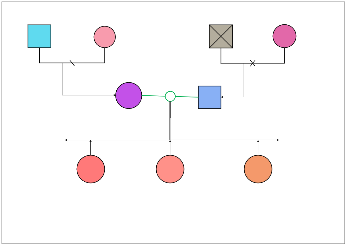 A genogram is a graphic representation of a family tree that shows extensive information about individual relationships. It goes beyond a standard family tree in that it allows the user to examine hereditary patterns as well as psychological aspects that 