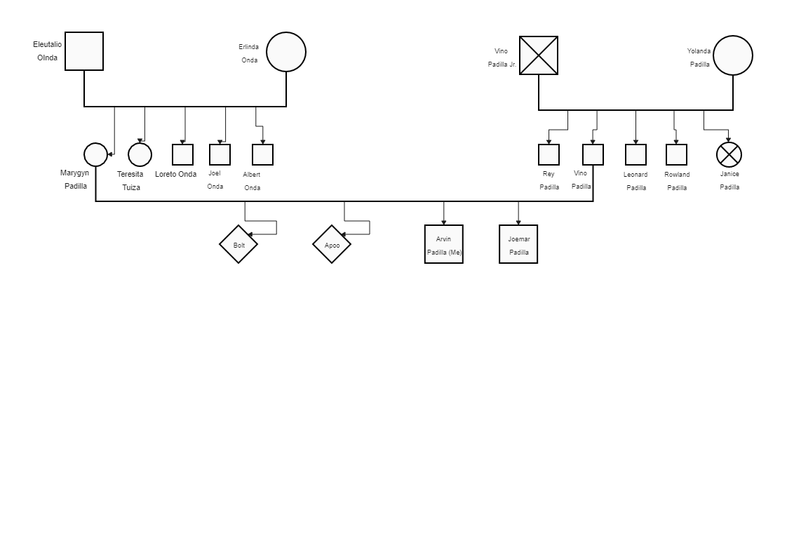 Here is Arvin Padilla's Genogram Structure. A genogram is a helpful visual mapping tool that illustrates a person's family tree, relationships, and history, especially where physicians are concerned, as they help look into family dynamics, parentage, and