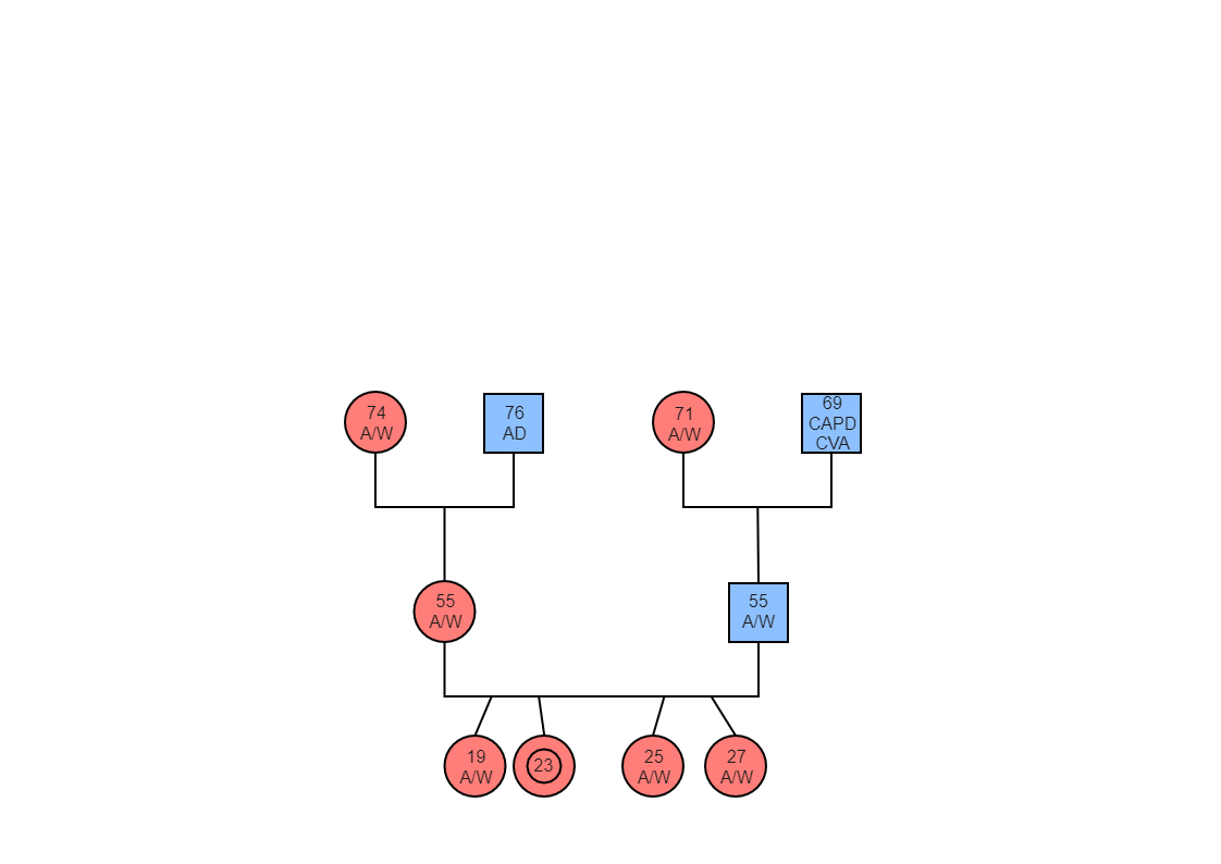 Here is a Health History Graphic Diagram, which is a useful visual mapping tool that depicts a person's family tree, relationships, and history and provides health information about the families. A genogram outperforms a traditional family tree because it