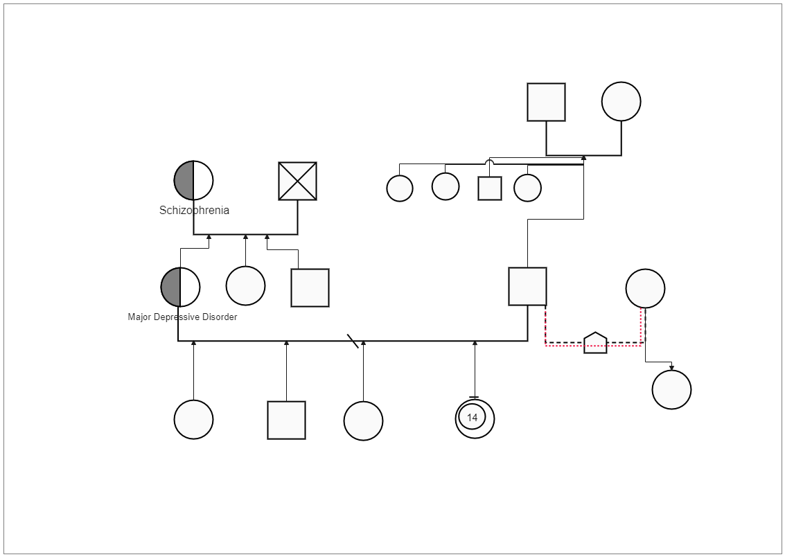 Here's Family Relations Genogram Tree Drawing by Robyn. It is a graphic representation of a family tree that displays detailed data on relationships among individuals. A graphic representation of medical conditions and age and cause of death of family mem