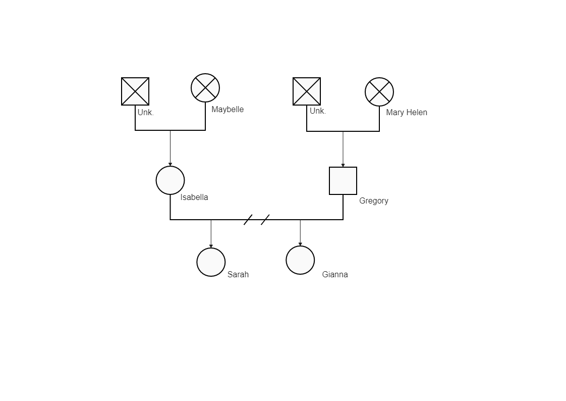 Here shows Sarah Lawson's Family information tree diagram. It's a graphical representation of a family tree that shows extensive information about individual ties. A genogram is a graphic representation of a family tree that shows extensive information ab