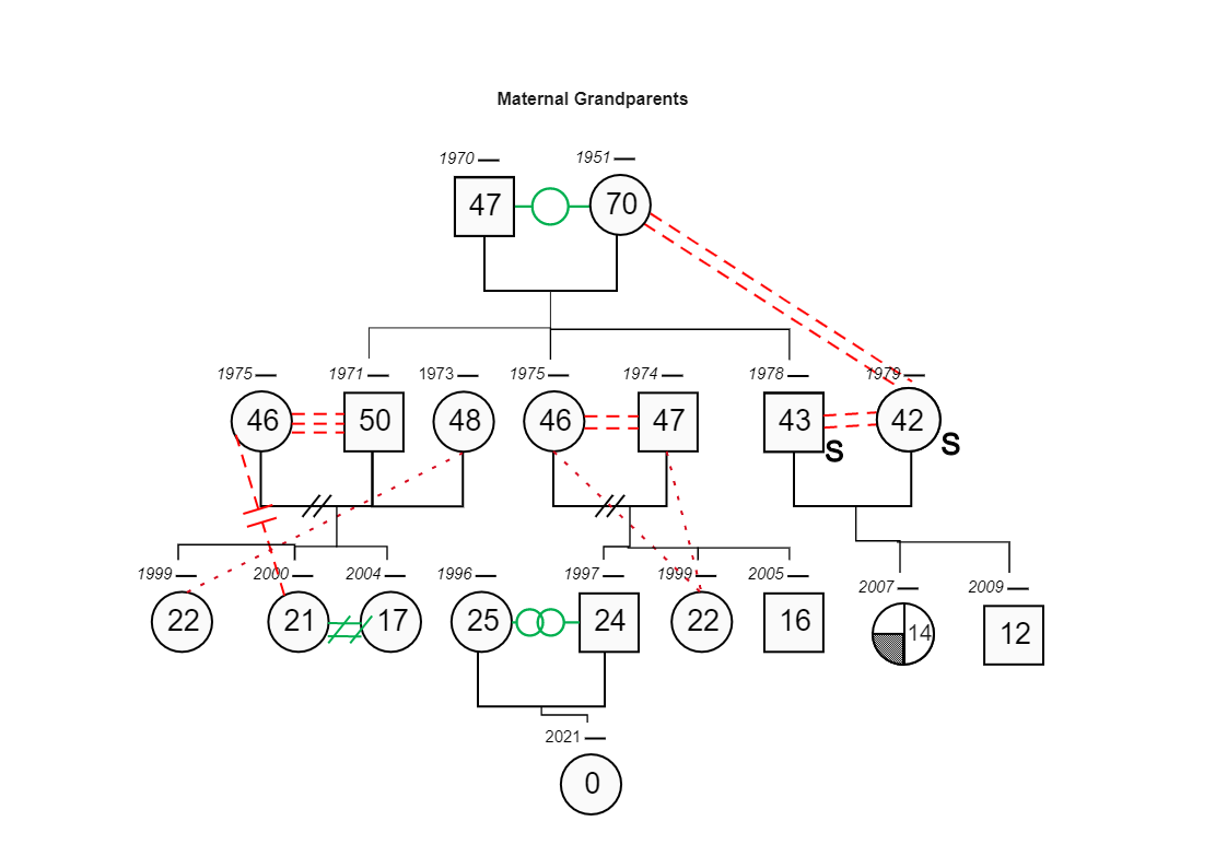Here shows individual Family information tree genogram. The genogram maps out relationships and traits that may otherwise be missed on a pedigree chart. It is a graphic representation of a family tree that displays detailed data on relationships among ind