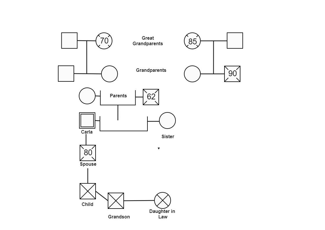 Here shows a personal family tree genogram diagram. A genogram is created with simple symbols representing the gender, with various lines to illustrate family relationships. Some genogram users also put circles around members who live in the same living s