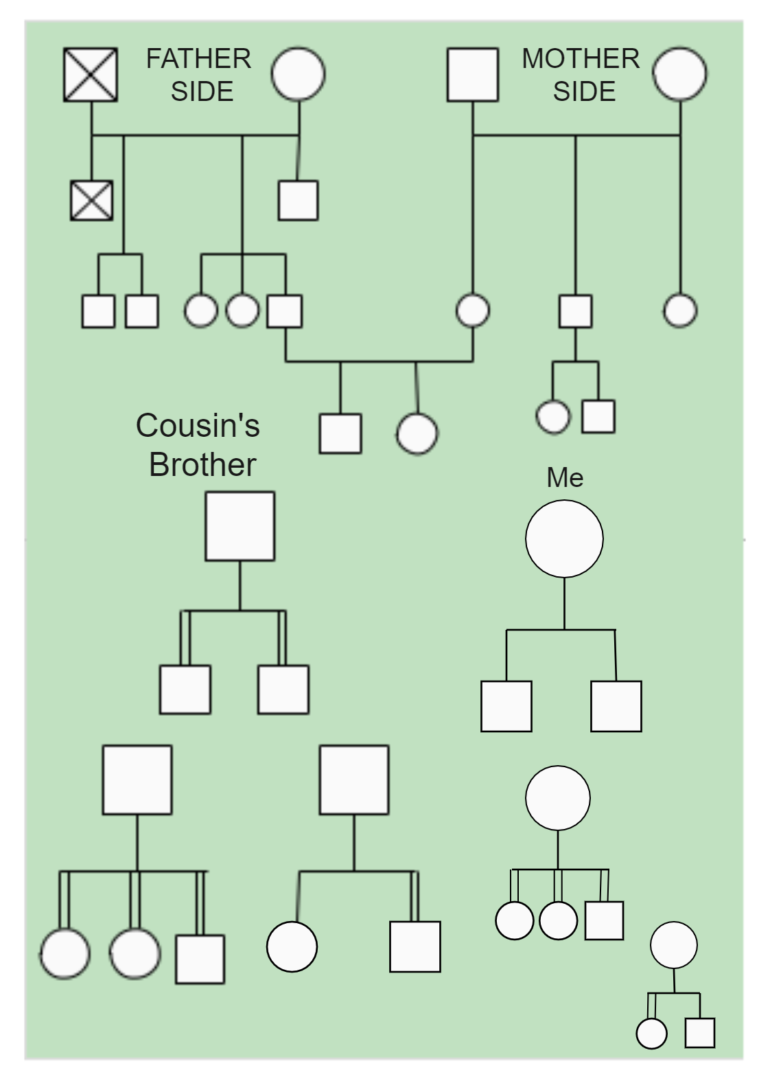 Personal family tree genogram with both sides is shown below. A genogram is made up of simple symbols that signify gender and different lines that depict familial links. Some genogram users also draw circles around family members who share living quarters