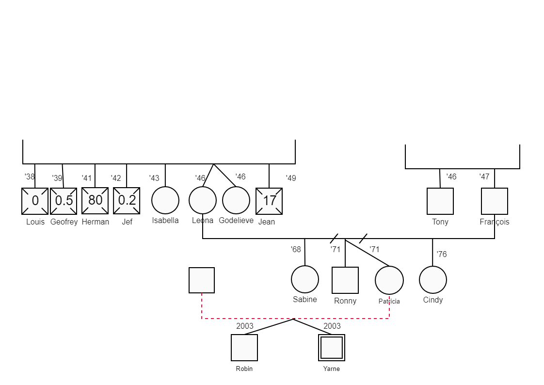Yarne's family information structure is shown above to illustrate family links. In terms of assessment and intervention, it is a useful tool in social work practice. The genogram is most typically associated with work with children, adolescents, and famil
