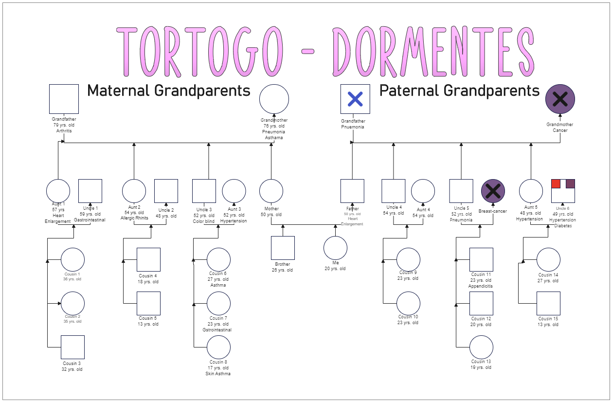 Above is a genogram of my maternal and paternal grandparents. It is a useful instrument in the field of social work. The genogram is most commonly connected with work with children, adolescents, and families, where it is used to evaluate the quality of in