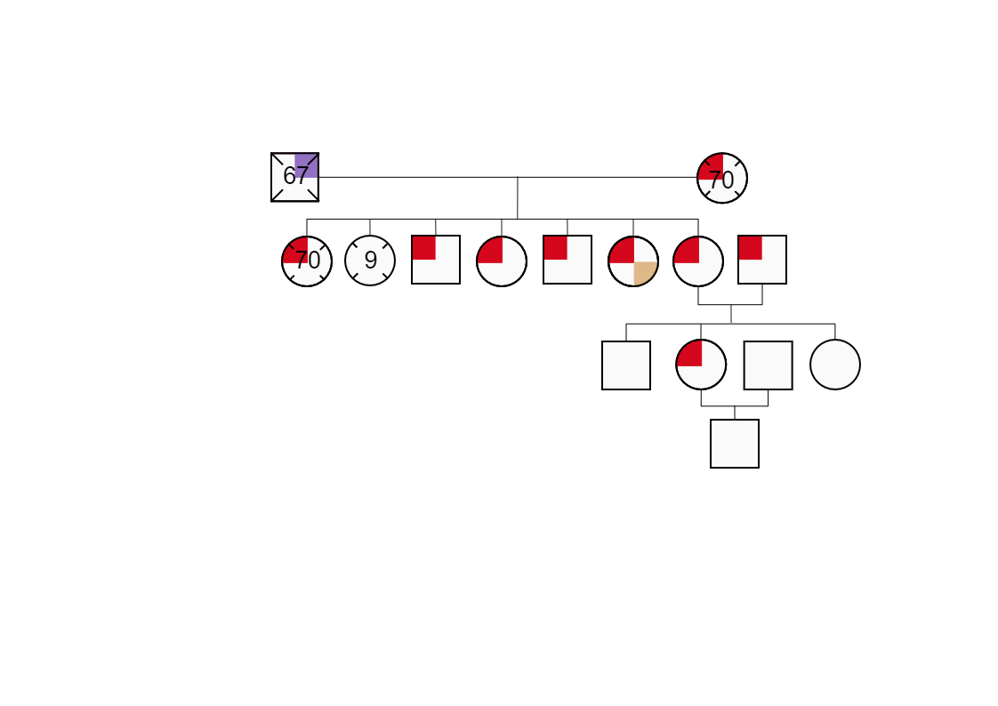 Eunice's visual family relation diagram is shown above.  A graphic representation of medical conditions and age and cause of death of family members going back several generations, used especially to assess disease risk. Genogram contains health of inform