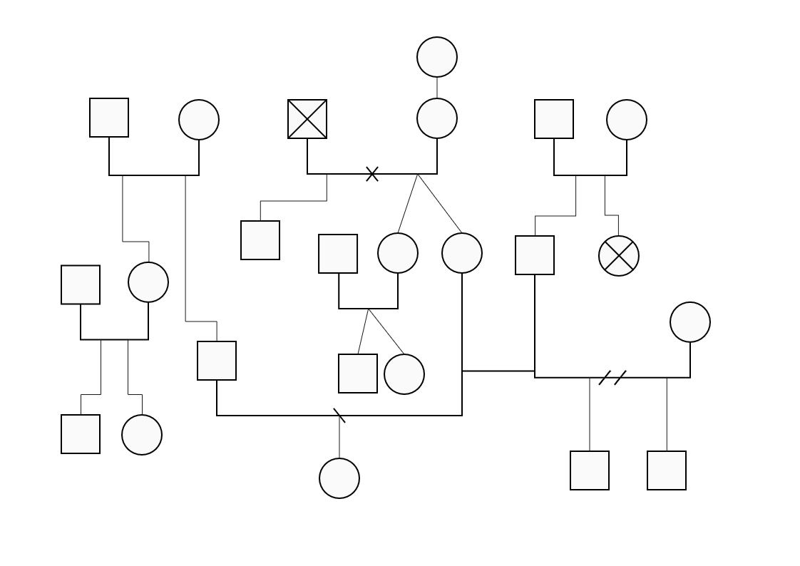 Blank Visual Family Relation