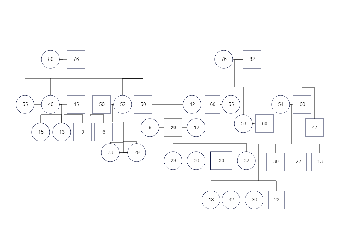 The Brief Picture Of Kyle's Genogram Map