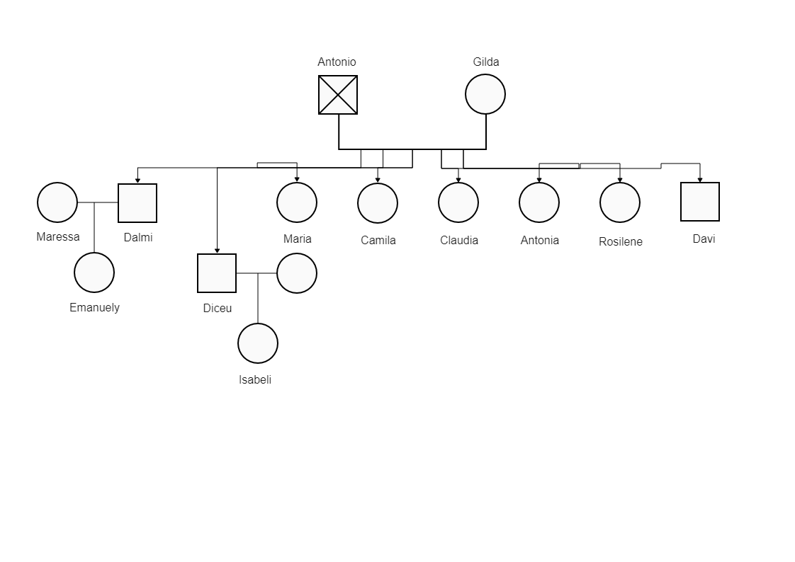 Luiza's Geongram treemap is shown below. A genogram is a pictorial representation of a person's family tree, relationships, and background. It's more than just a typical family tree; it provides information on the family's medical history and behaviors fo