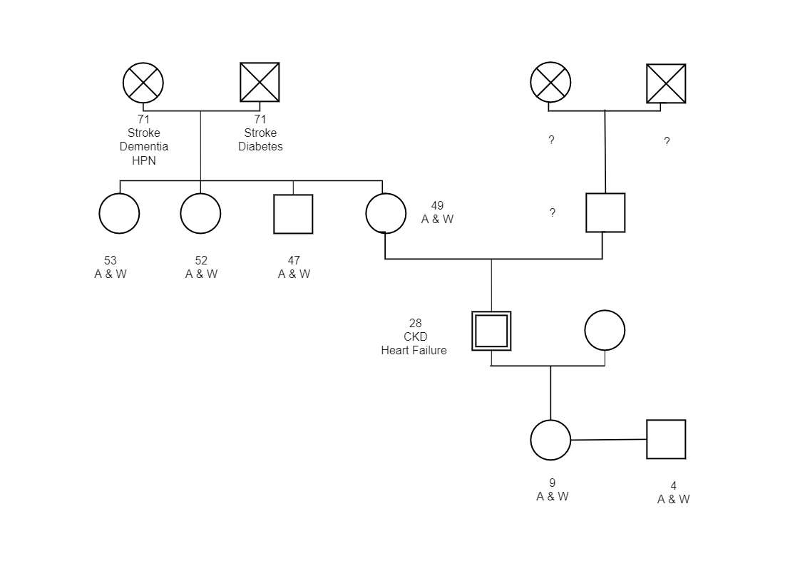 Here shows the Genogram treemap of Michaella Noreen's family.  A genogram is a visual mapping tool that illustrates a person's family tree, relationships, and history. It is more than the traditional family tree giving insights into the medical history an