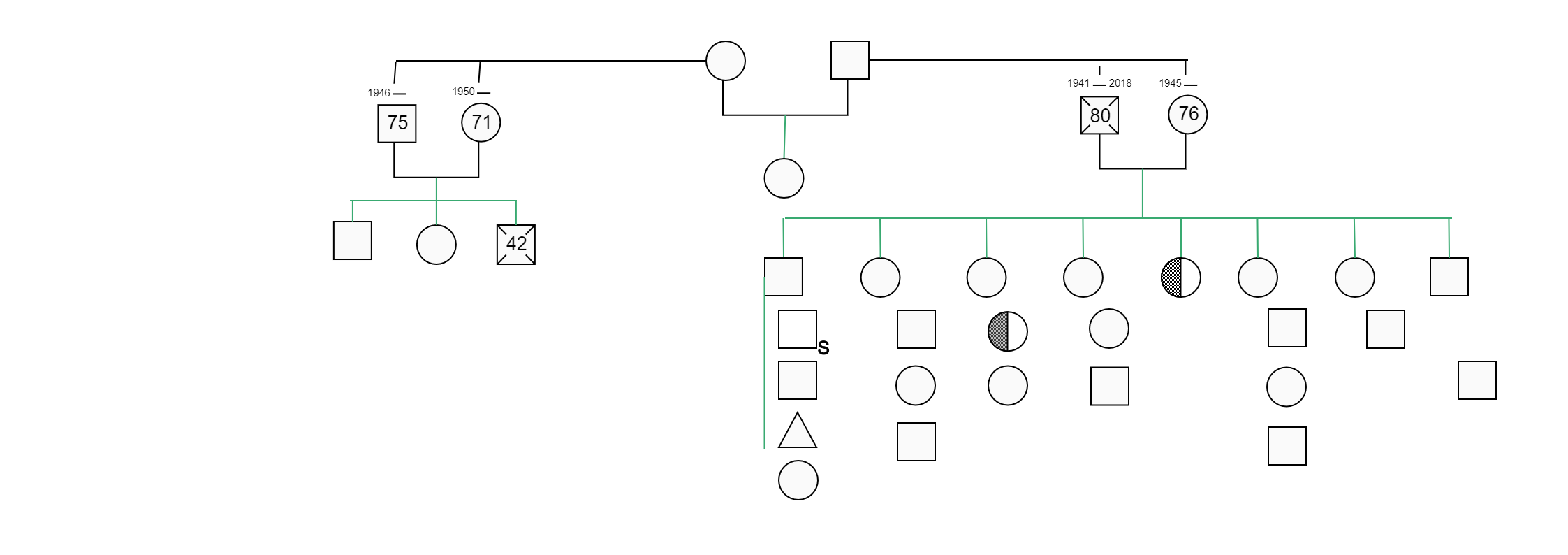 Here shows the Graphic of Almira's family tree information.  A genogram is a visual mapping tool that illustrates a person's family tree, relationships, and history. It is more than the traditional family tree giving insights into the medical history and
