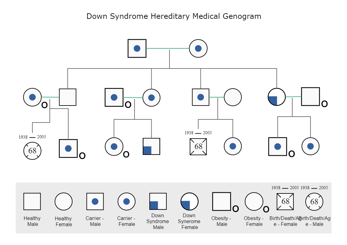 Here shows Hereditary Medical Genogram for Down Syndrome, which is a family genogram with health and relation conditions. A genogram is a graphic representation of a family tree that displays detailed data on relationships among individuals. It goes beyon