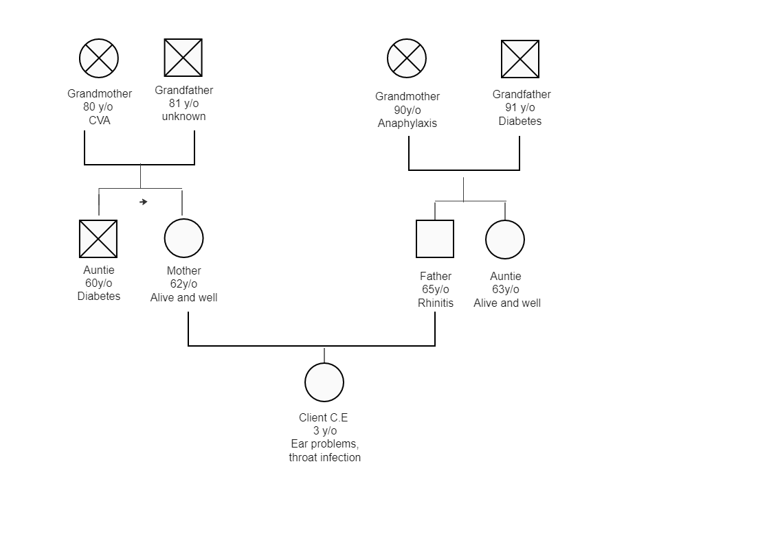 Client Family Relationships Diagram