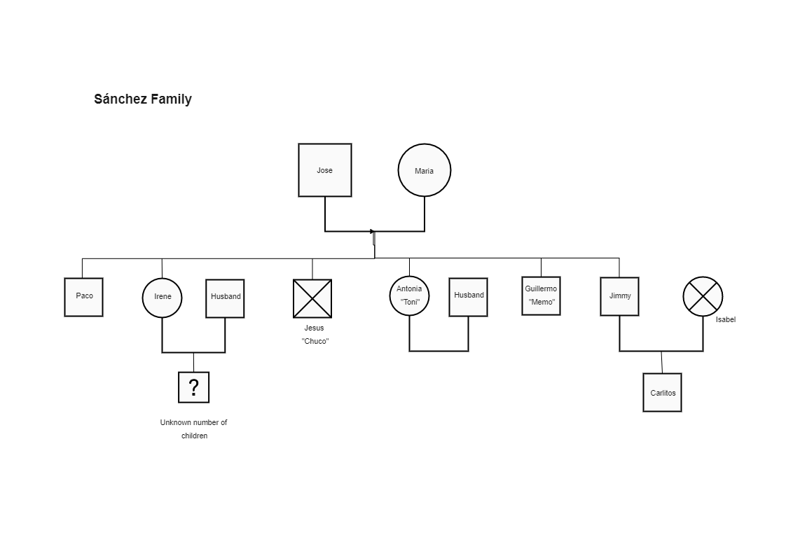 Sanchez's Family Relationship Diagram Form