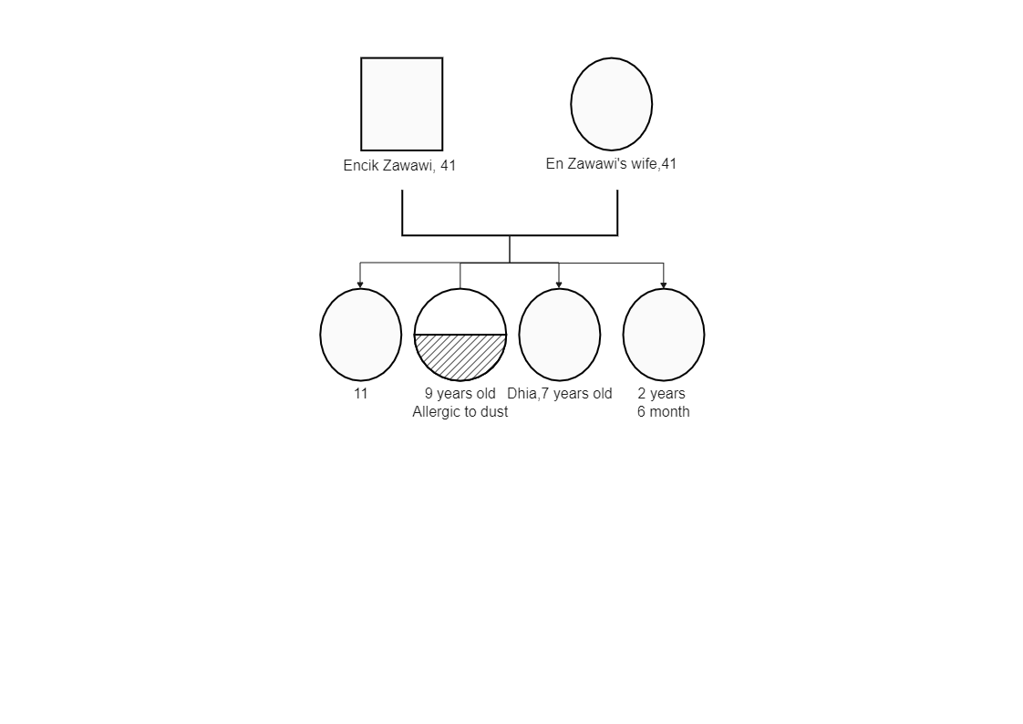 Zawawi Personality Diagram Form