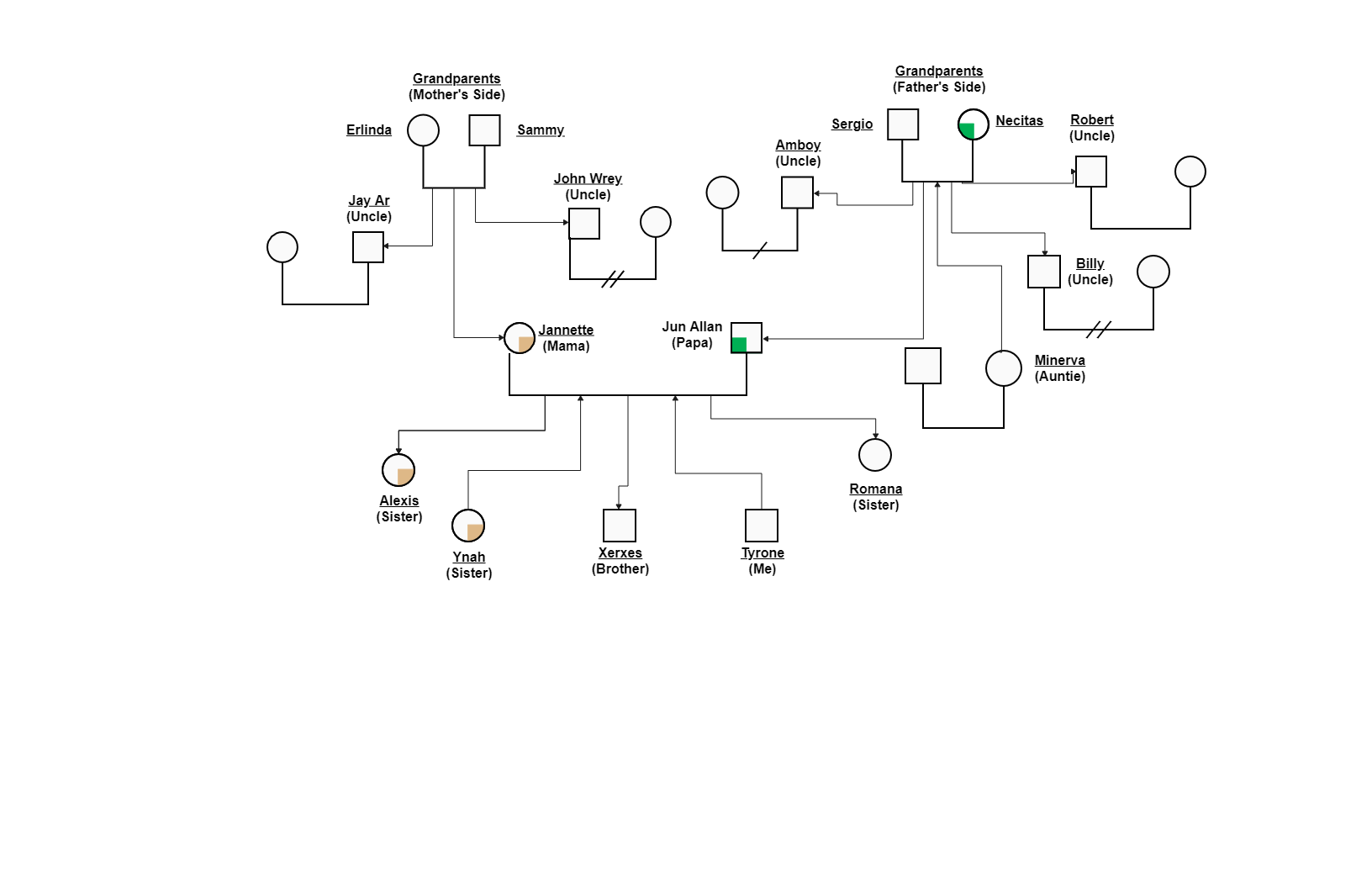 A graphic of Stephen's personal family tree with mother and father sides has depicted here. A genogram is created with simple symbols representing the gender, with various lines to illustrate family relationships. A genogram is a really useful tool for he