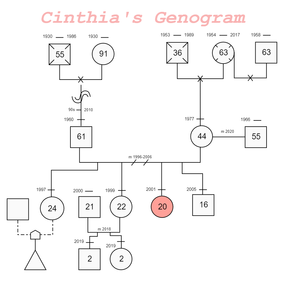 There is Cinthia's family relationship tree representation diagram, which can help understand an individual's family relationships by visualizing patterns and psychological factors affecting them.  The genogram may be defined as a visual tool for explorin