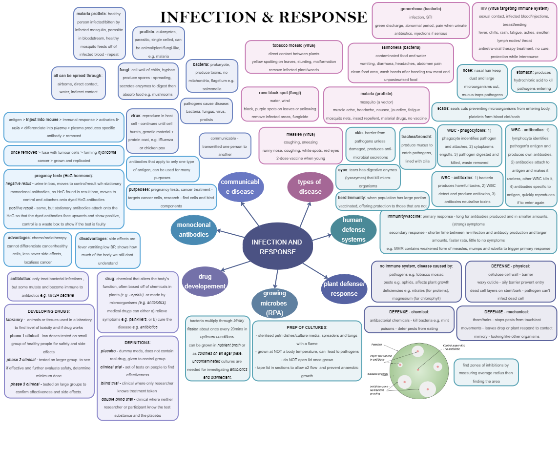 BIO - Infection and Response