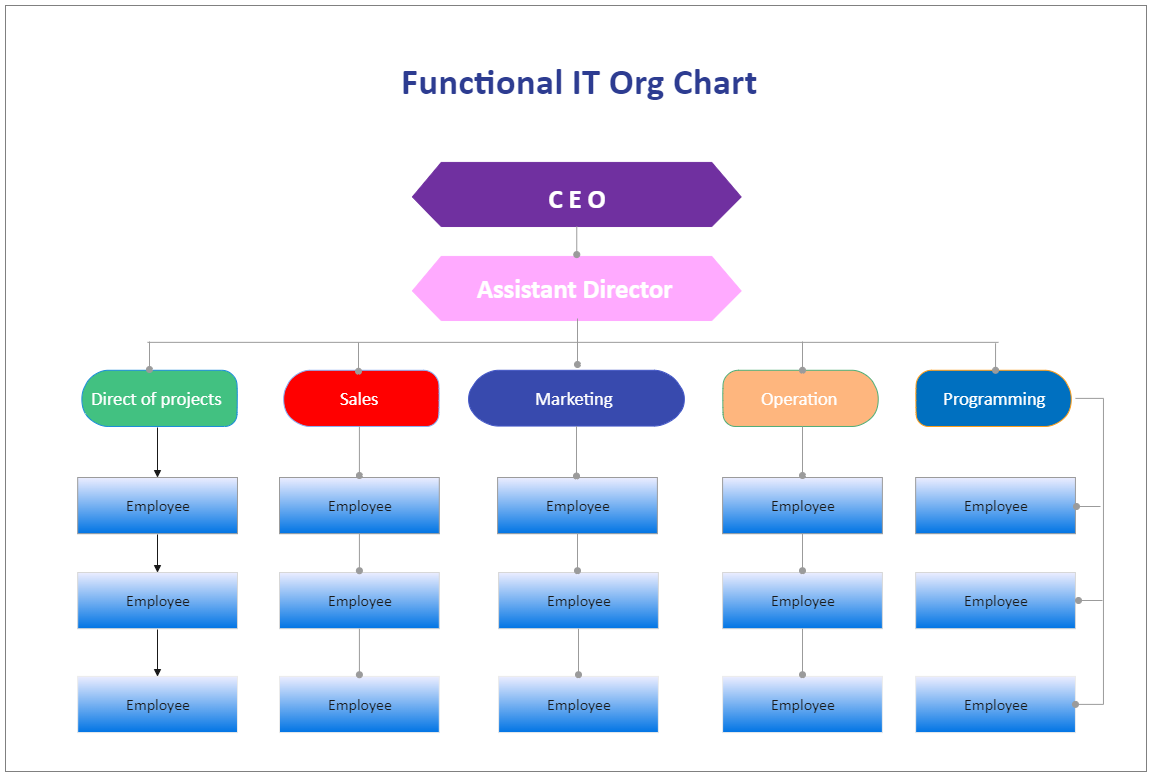 Functional IT Organizational Chart
