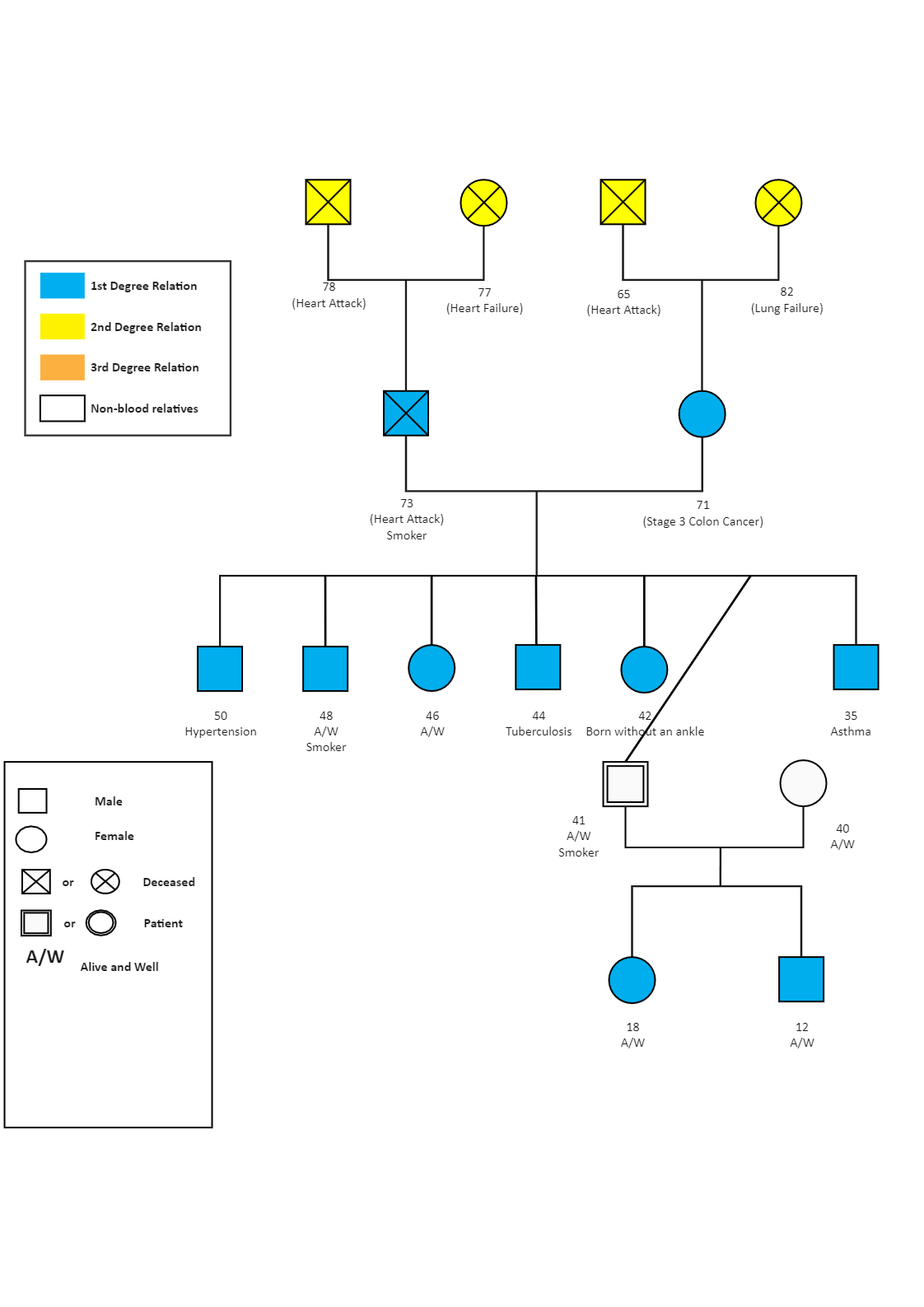 A medical genogram is a sort of genogram that contains graphical representations of medical problems such as age, cause of death, inherited features, and any other information that may be utilized to determine illness risk. You must first decide the genet