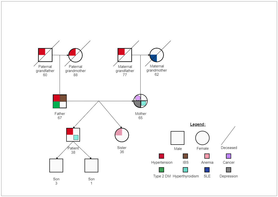 A Patient With 2 Son Genogram
