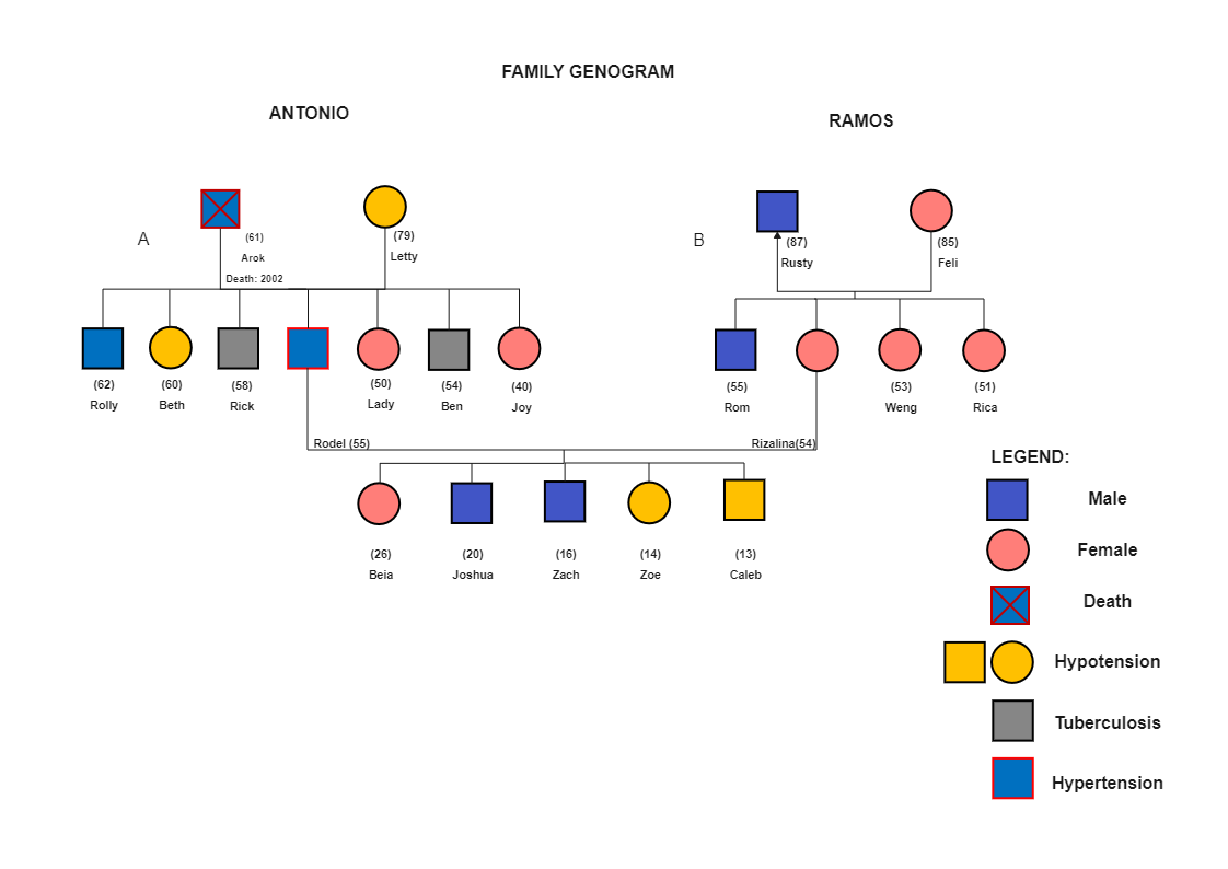 Here's an example of a medical genogram that shows the relationships between certain medicinal carriers. A genogram is a visual representation of a family tree that displays detailed information on individual relationships. Medication, mental processes, c