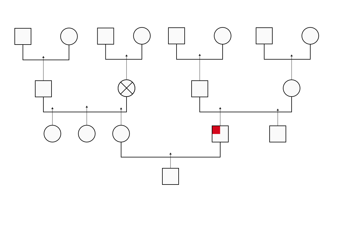 Blank Family Relationship Diagram Form