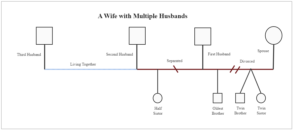 A Wife With Multiple Husbands Genogram